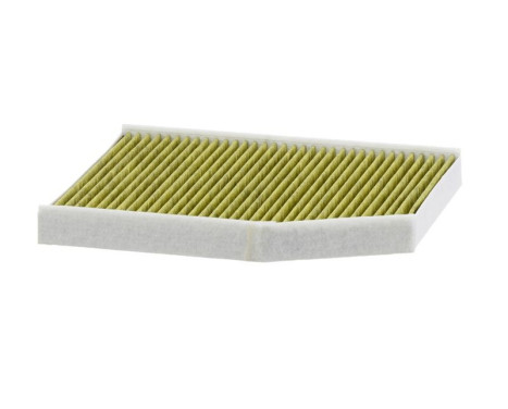 Hyttfilter FP 29 007 Mann