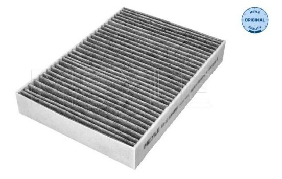 Invändigt filter 53-12 320 0003 Meyle