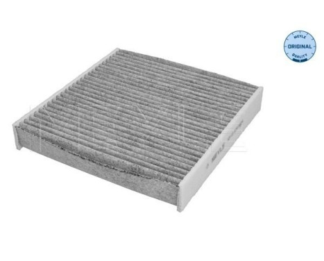 Invändigt filter 53-12 320 0004 Meyle