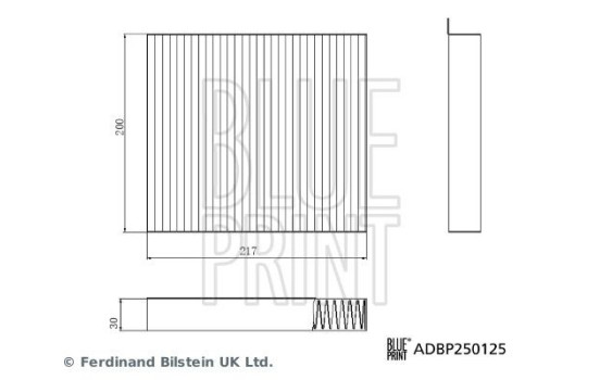 Invändigt filter ADBP250125 Blue Print