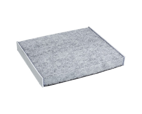 Invändigt filter ADF122529 Blue Print, bild 2