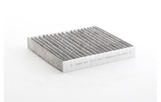 Invändigt filter BSG 63-145-001