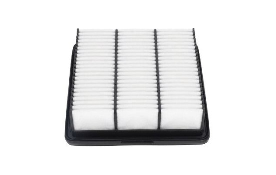 AMC Filter Luft FAF-10022 Kavo parts, bild 3