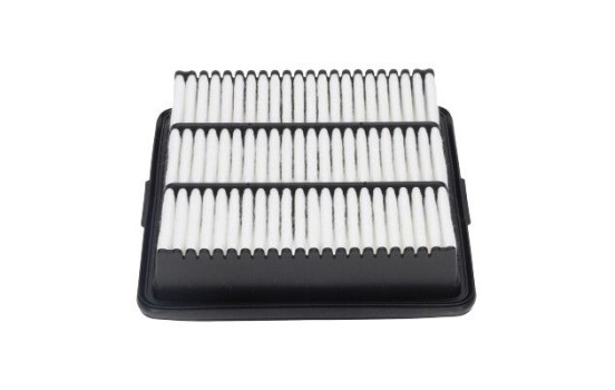 AMC Filter Luft FAF-10022 Kavo parts, bild 4
