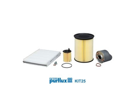 Filterset KIT25 Purflux