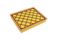 Luftfilter 108741 FEBI