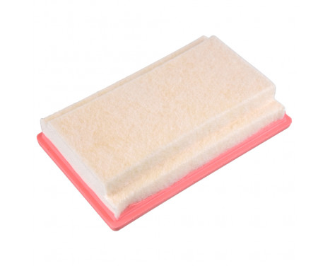 Luftfilter 171149 FEBI, bild 2