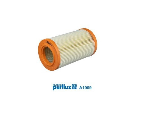Luftfilter A1009 Purflux