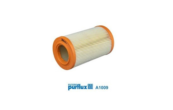 Luftfilter A1009 Purflux