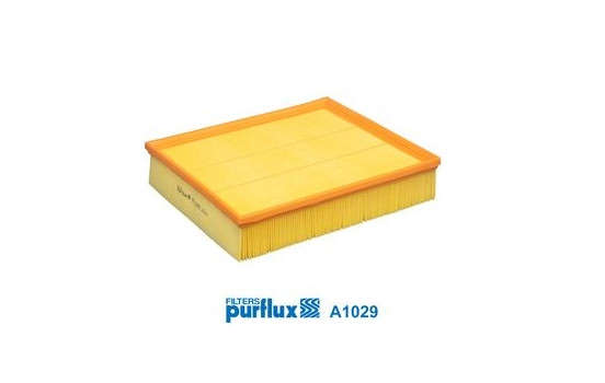 Luftfilter A1029 Purflux