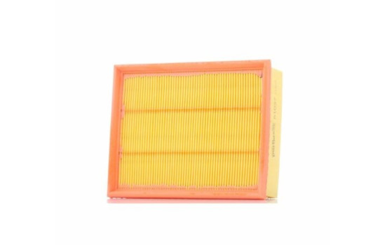 Luftfilter A1037 Purflux