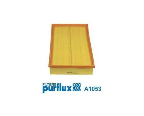 Luftfilter A1053 Purflux