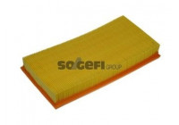 Luftfilter A1076 Purflux