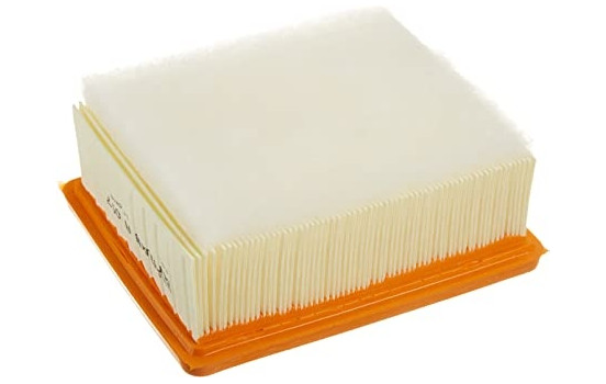 Luftfilter A1097 Purflux