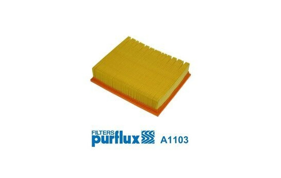 Luftfilter A1103 Purflux