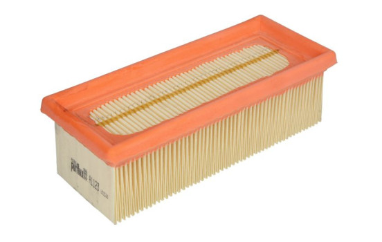 Luftfilter A1123 Purflux