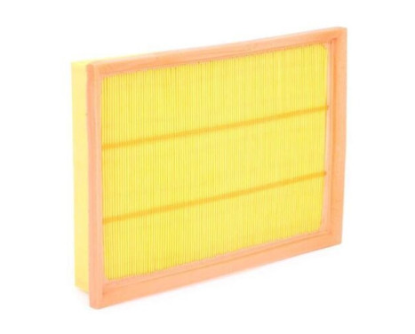 Luftfilter A1130 Purflux