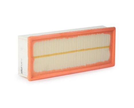 Luftfilter A1160 Purflux
