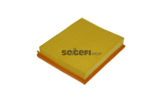 Luftfilter A1192 Purflux