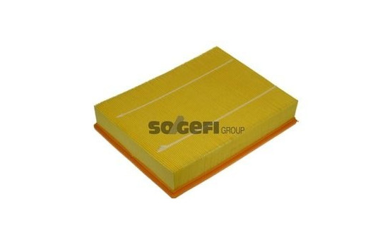 Luftfilter A1210 Purflux