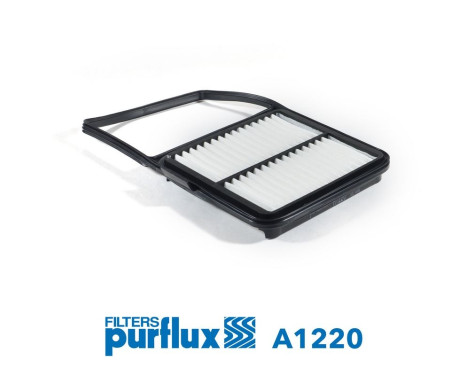 Luftfilter A1220 Purflux