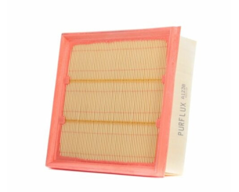 Luftfilter A1238 Purflux