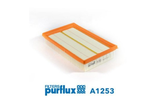 Luftfilter A1253 Purflux