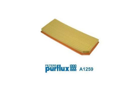 Luftfilter A1259 Purflux