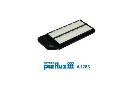 Luftfilter A1263 Purflux