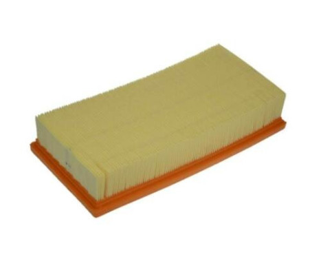 Luftfilter A1365 Purflux