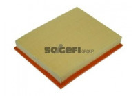 Luftfilter A1368 Purflux