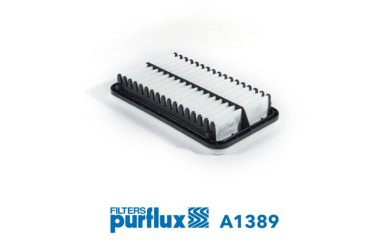 Luftfilter A1389 Purflux