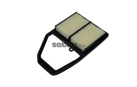 Luftfilter A1391 Purflux