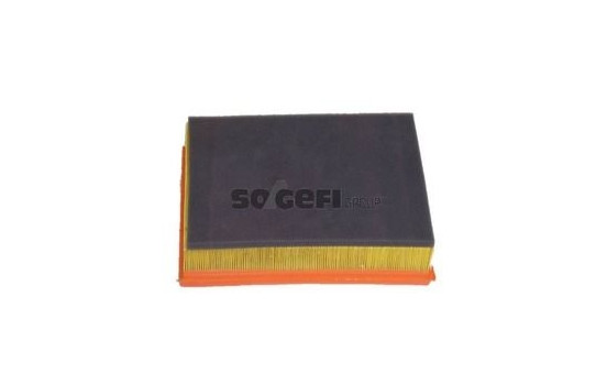 Luftfilter A1403 Purflux