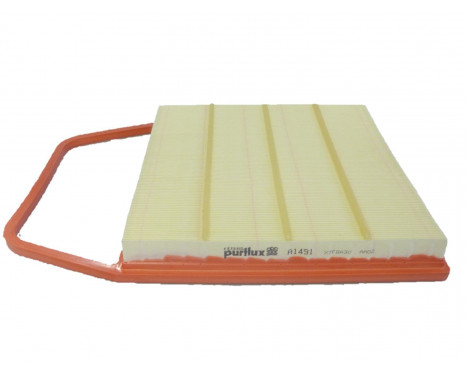Luftfilter A1491 Purflux