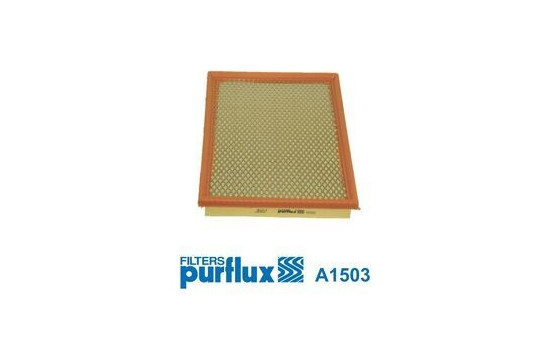 Luftfilter A1503 Purflux
