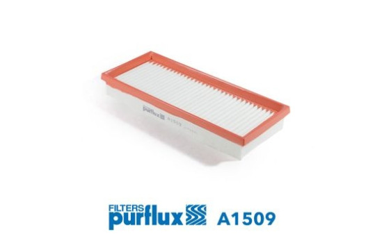 Luftfilter A1509 Purflux