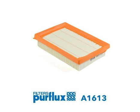 Luftfilter A1613 Purflux, bild 2