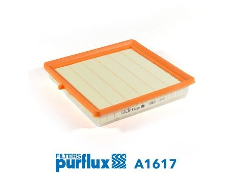 Luftfilter A1617 Purflux