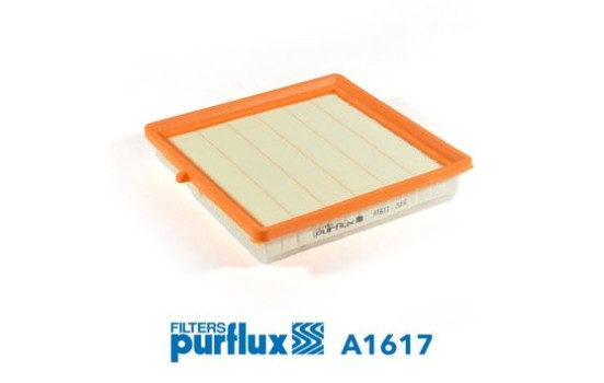 Luftfilter A1617 Purflux