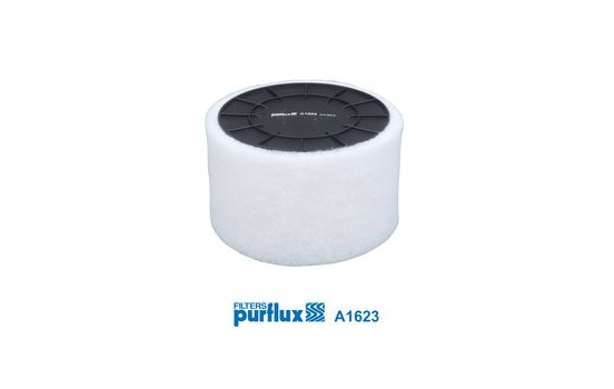 Luftfilter A1623 Purflux