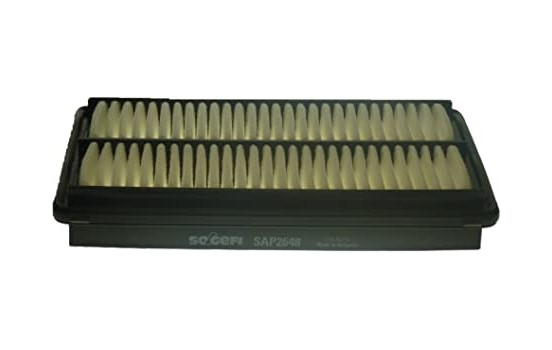 Luftfilter A1752 Purflux
