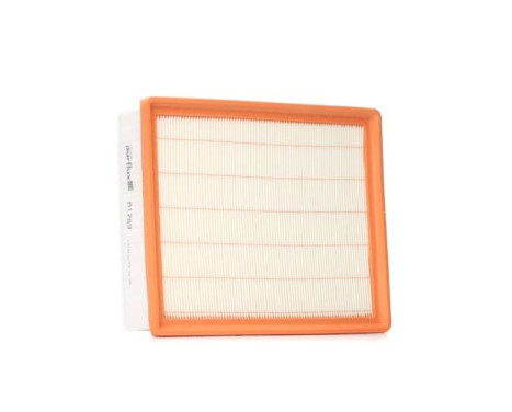 Luftfilter A1789 Purflux