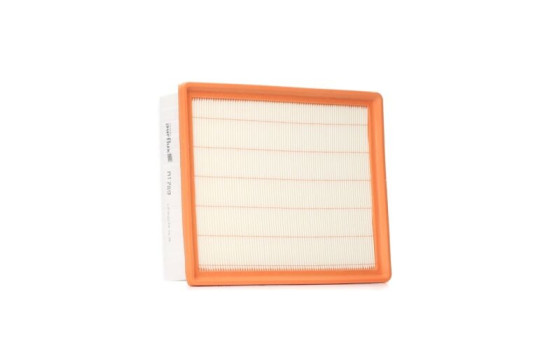 Luftfilter A1789 Purflux