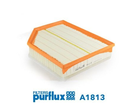 Luftfilter A1813 Purflux