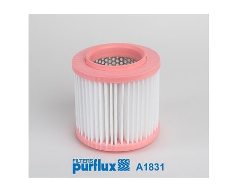Luftfilter A1831 Purflux