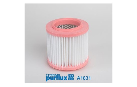 Luftfilter A1831 Purflux