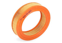Luftfilter A194 Purflux