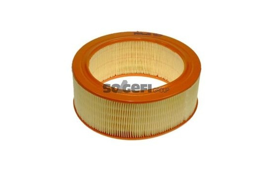 Luftfilter A278 Purflux