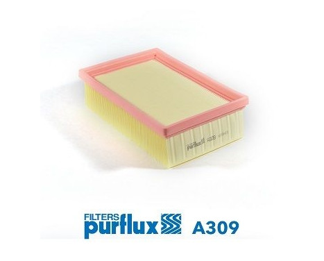 Luftfilter A309 Purflux